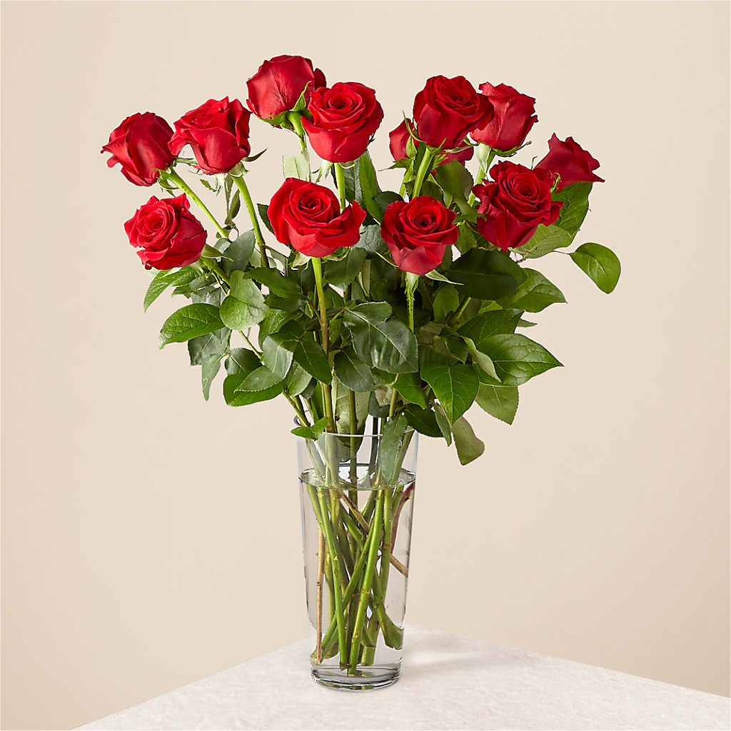 Long Stem Red Rose Bouquet – NEIL'S FLOWERS AND GREENHOUSES, Kingston ON