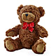 Adorable Plush Bear – NEIL'S FLOWERS AND GREENHOUSES, Kingston ON
