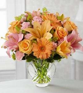 Brighten Your Day – NEIL'S FLOWERS AND GREENHOUSES, Kingston ON
