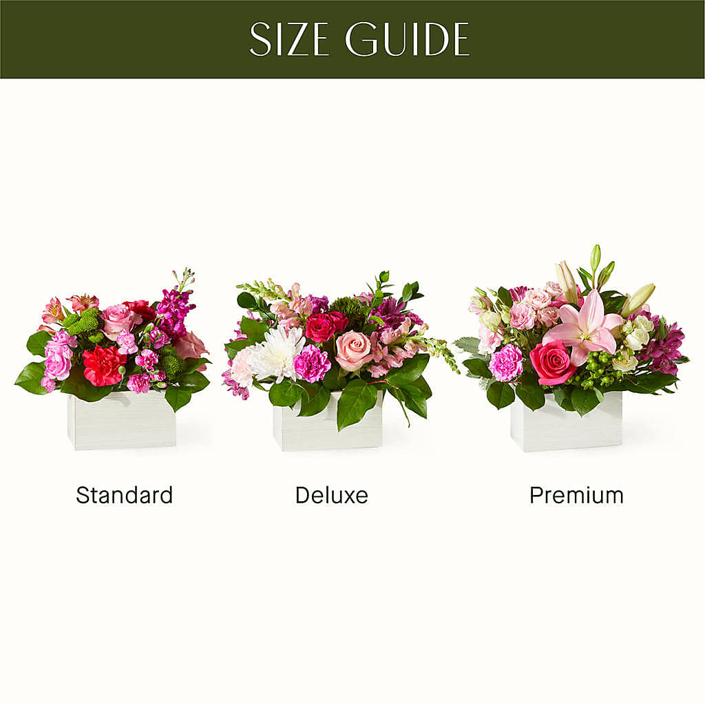 Sweetberry Box – A Florist Original – NEIL'S FLOWERS AND GREENHOUSES, Kingston ON