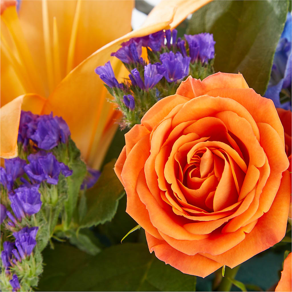 Radiant Citrus Box Bouquet – NEIL'S FLOWERS AND GREENHOUSES, Kingston ON