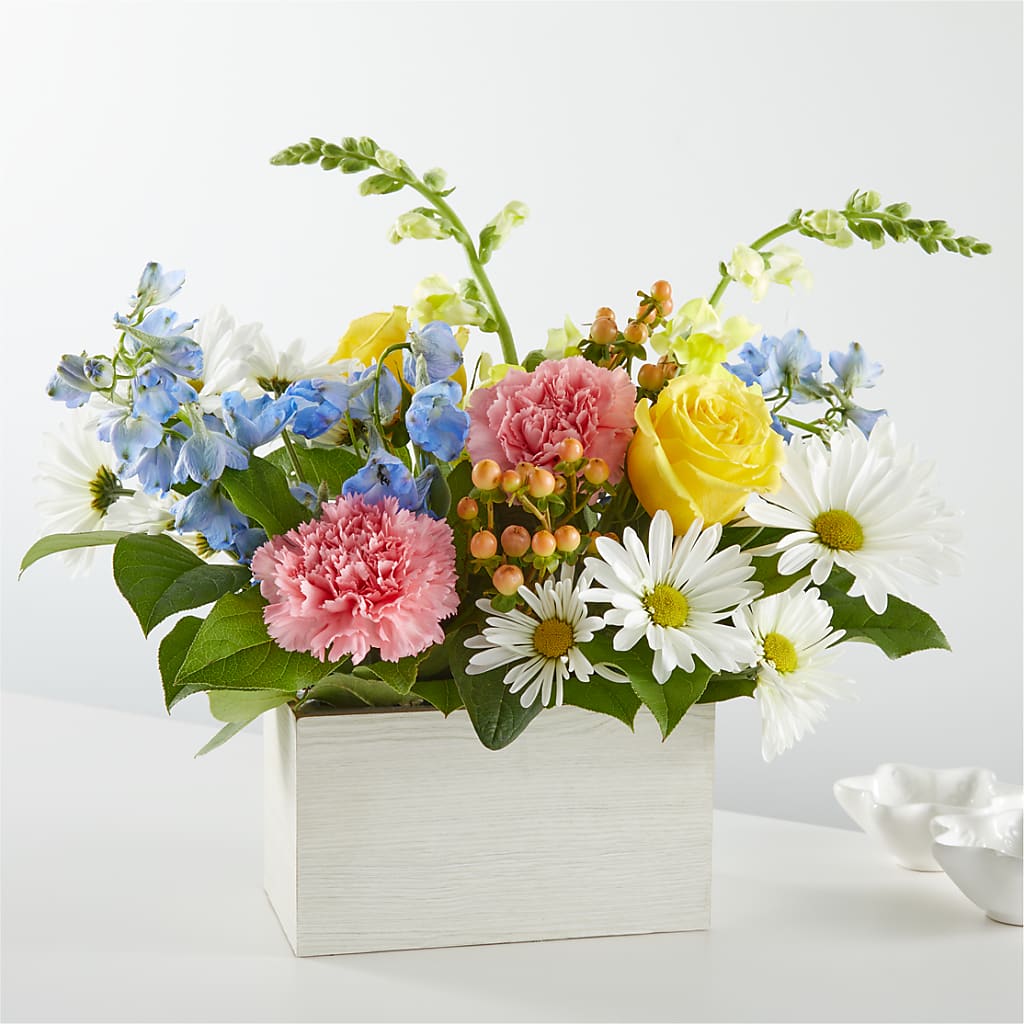 Sun Salutation Box Bouquet – NEIL'S FLOWERS AND GREENHOUSES, Kingston ON