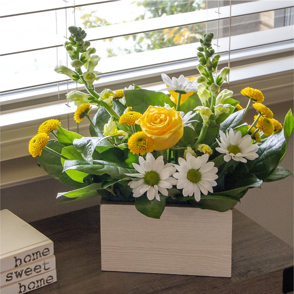 Sun Salutation Box Bouquet – NEIL'S FLOWERS AND GREENHOUSES, Kingston ON