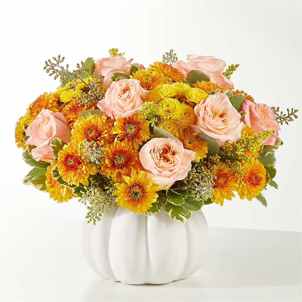 Peachy Pumpkin – NEIL'S FLOWERS AND GREENHOUSES, Kingston ON