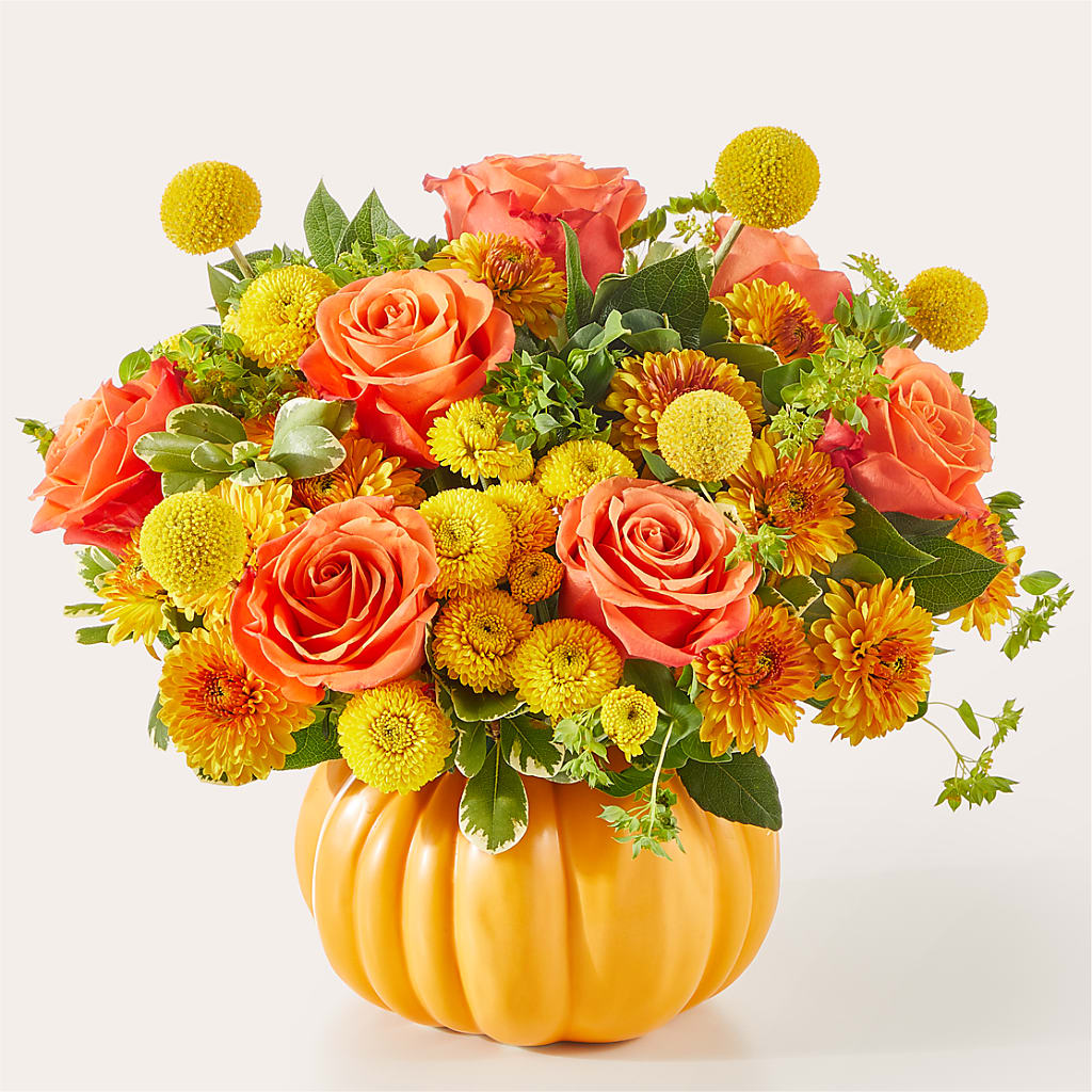 Gourdgeous Pumpkin – NEIL'S FLOWERS AND GREENHOUSES, Kingston ON
