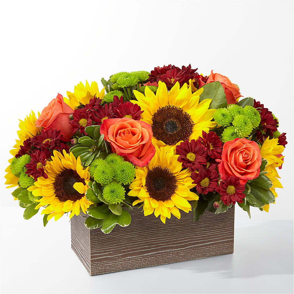 Happy Harvest Garden – NEIL'S FLOWERS AND GREENHOUSES, Kingston ON