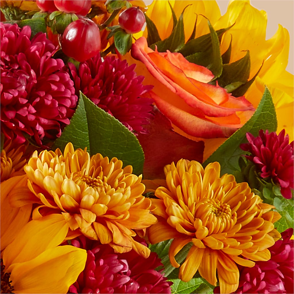 Sweater Season - A Florist Original – NEIL'S FLOWERS AND GREENHOUSES, Kingston ON