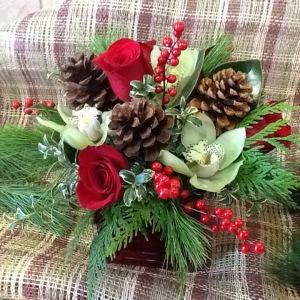 Classic Orchids – NEIL'S FLOWERS AND GREENHOUSES, Kingston ON