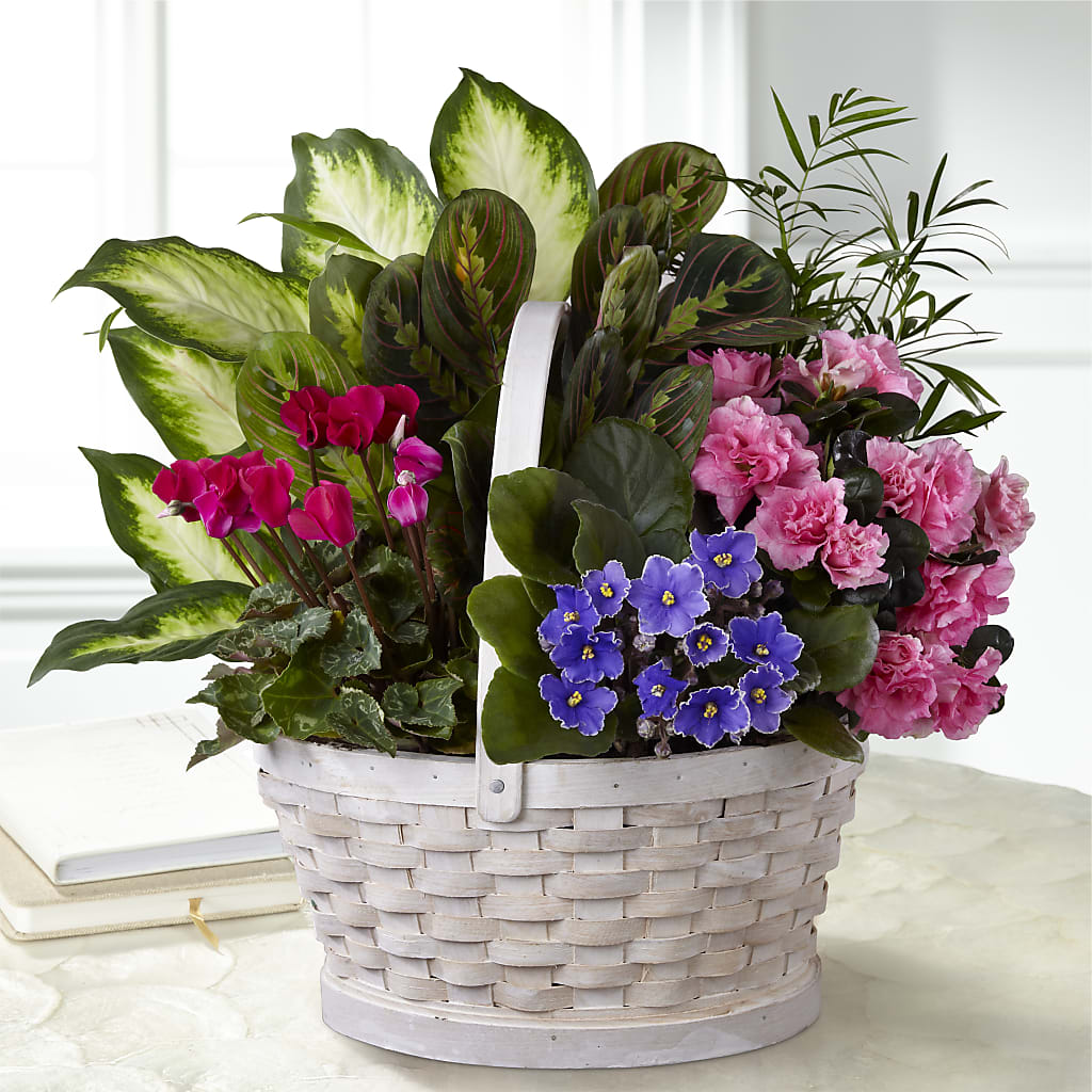 Peaceful Garden Planter – NEIL'S FLOWERS AND GREENHOUSES, Kingston ON