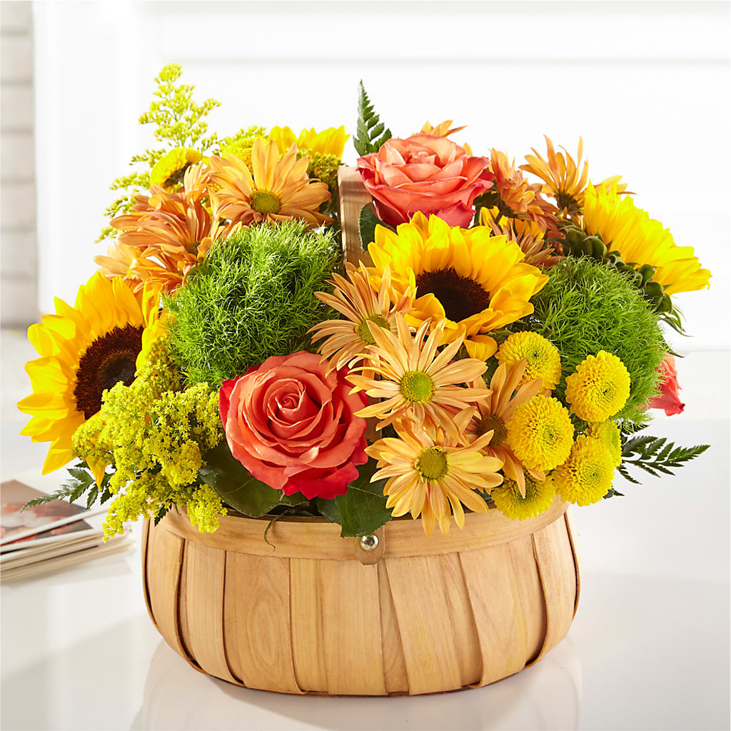 Harvest Sunflower Basket – NEIL'S FLOWERS AND GREENHOUSES, Kingston ON
