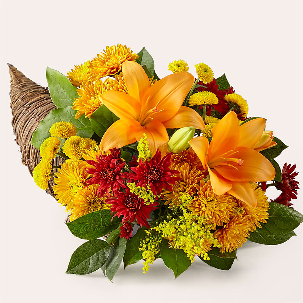 Feast of Color Cornucopia – NEIL'S FLOWERS AND GREENHOUSES, Kingston ON