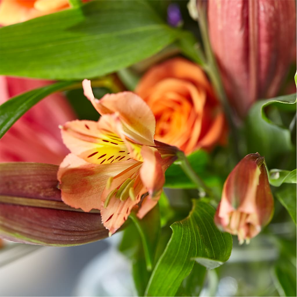 Bold & Bright – A Florist Original – NEIL'S FLOWERS, Kingston ON