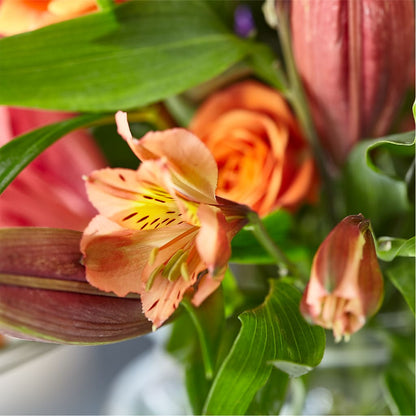 Bold & Bright – A Florist Original – NEIL'S FLOWERS, Kingston ON