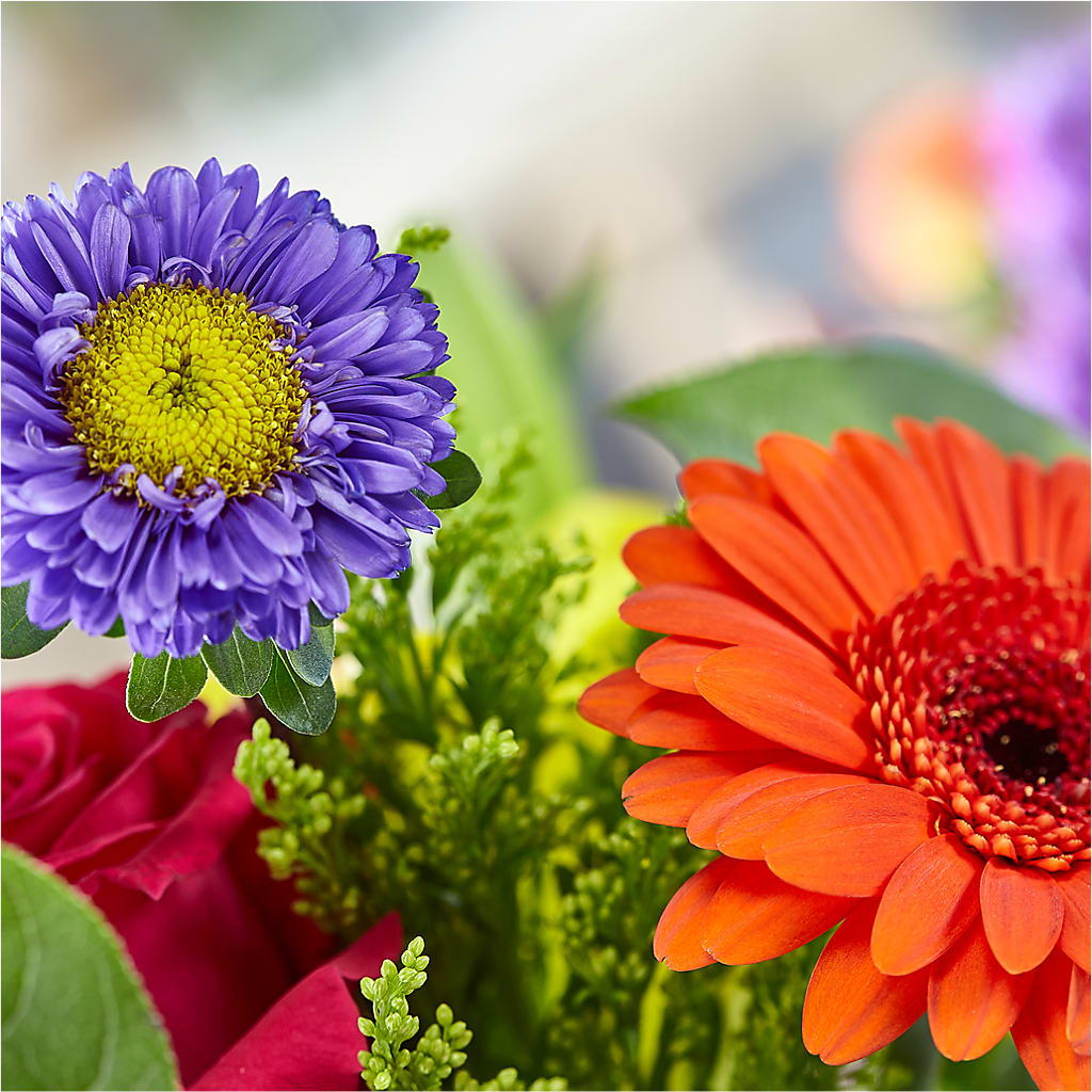 Bold & Bright – A Florist Original – NEIL'S FLOWERS, Kingston ON