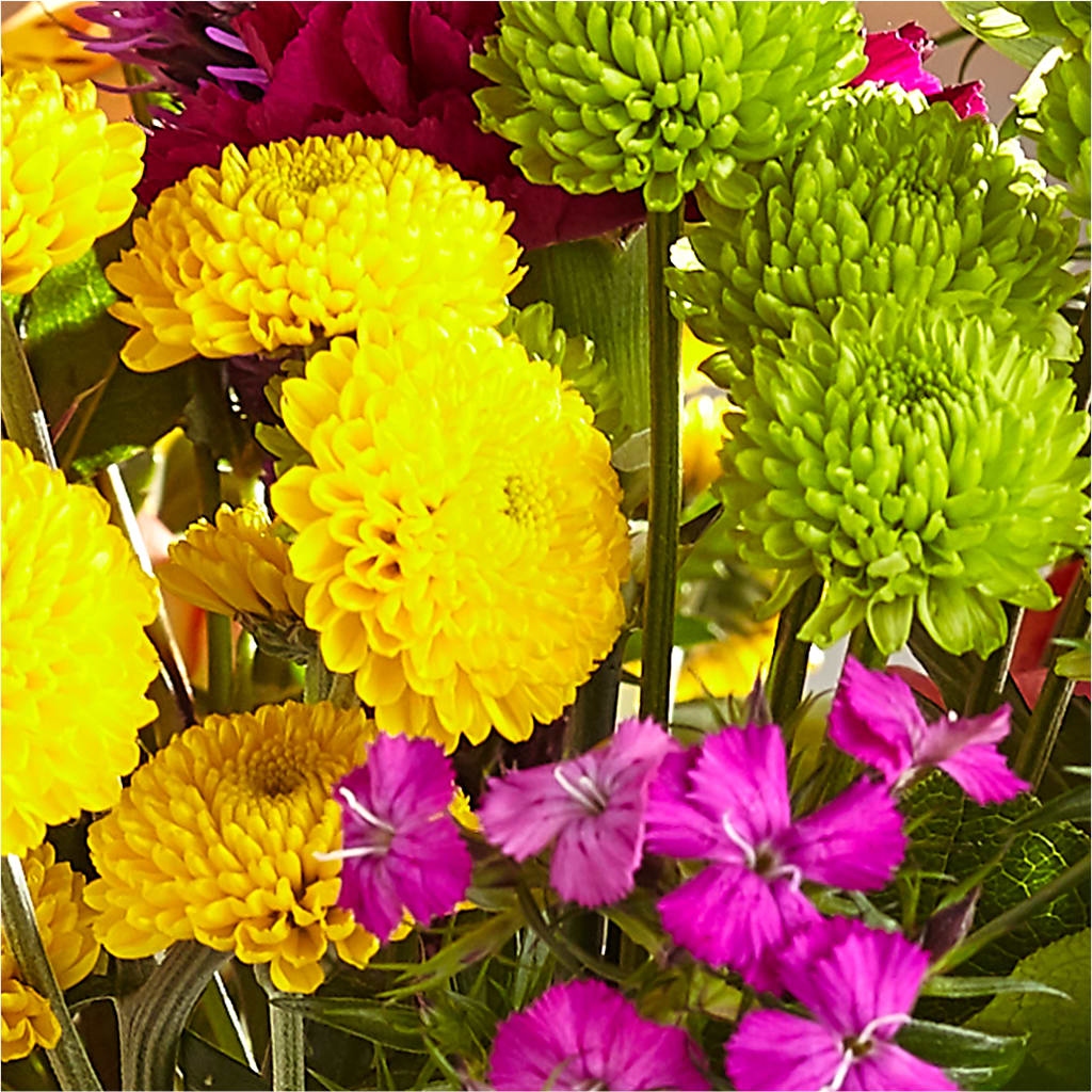 Bold & Bright – A Florist Original – NEIL'S FLOWERS AND GREENHOUSES, Kingston ON