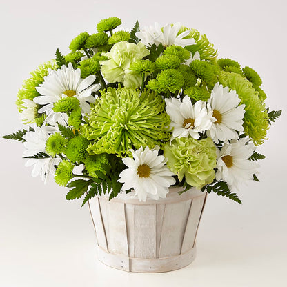 Lucky Charm Basket (Standard) – NEIL'S FLOWERS AND GREENHOUSES, Kingston ON