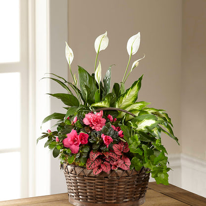 Dream in Pink Dishgarden – NEIL'S FLOWERS AND GREENHOUSES, Kingston ON