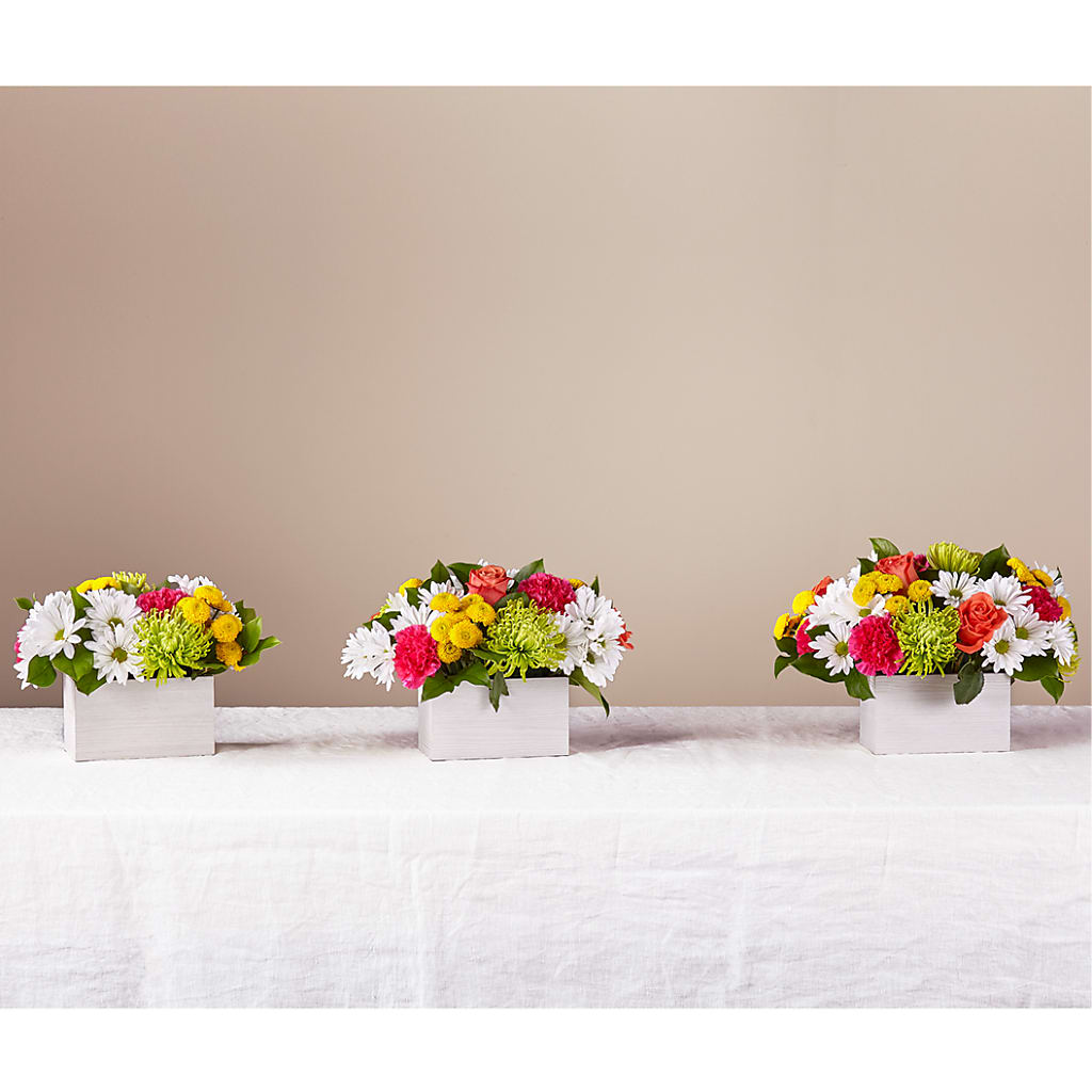 Sorbet Bouquet – NEIL'S FLOWERS AND GREENHOUSES, Kingston ON
