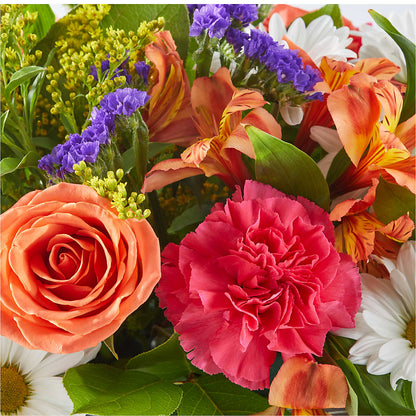 Oopsie Daisy Box Bouquet – NEIL'S FLOWERS AND GREENHOUSES, Kingston ON