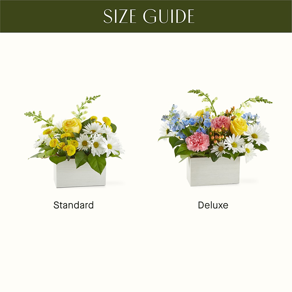 Sun Salutation Box Bouquet – NEIL'S FLOWERS AND GREENHOUSES, Kingston ON