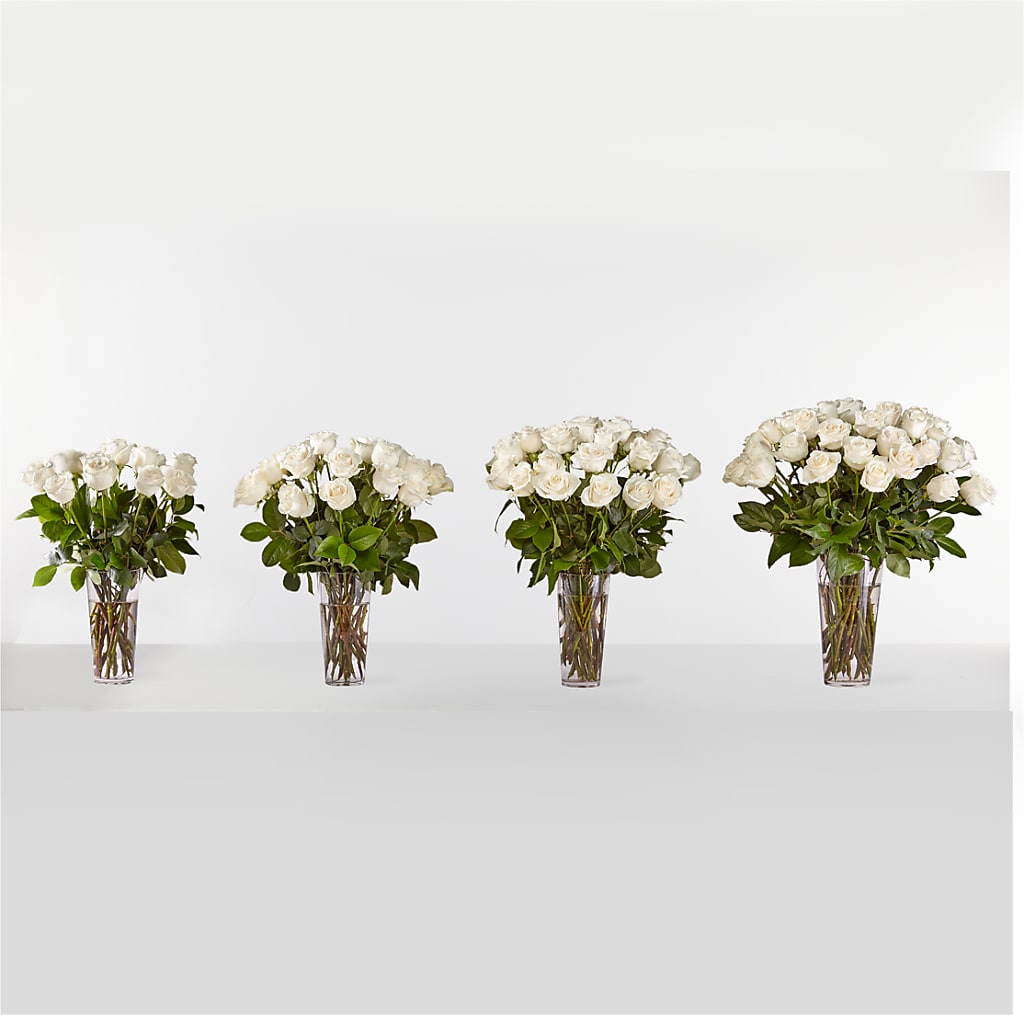 Long Stem White Rose Bouquet – NEIL'S FLOWERS AND GREENHOUSES, Kingston ON