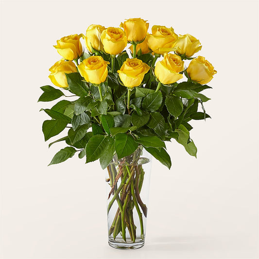 Long Stem Yellow Rose Bouquet – NEIL'S FLOWERS, Kingston ON