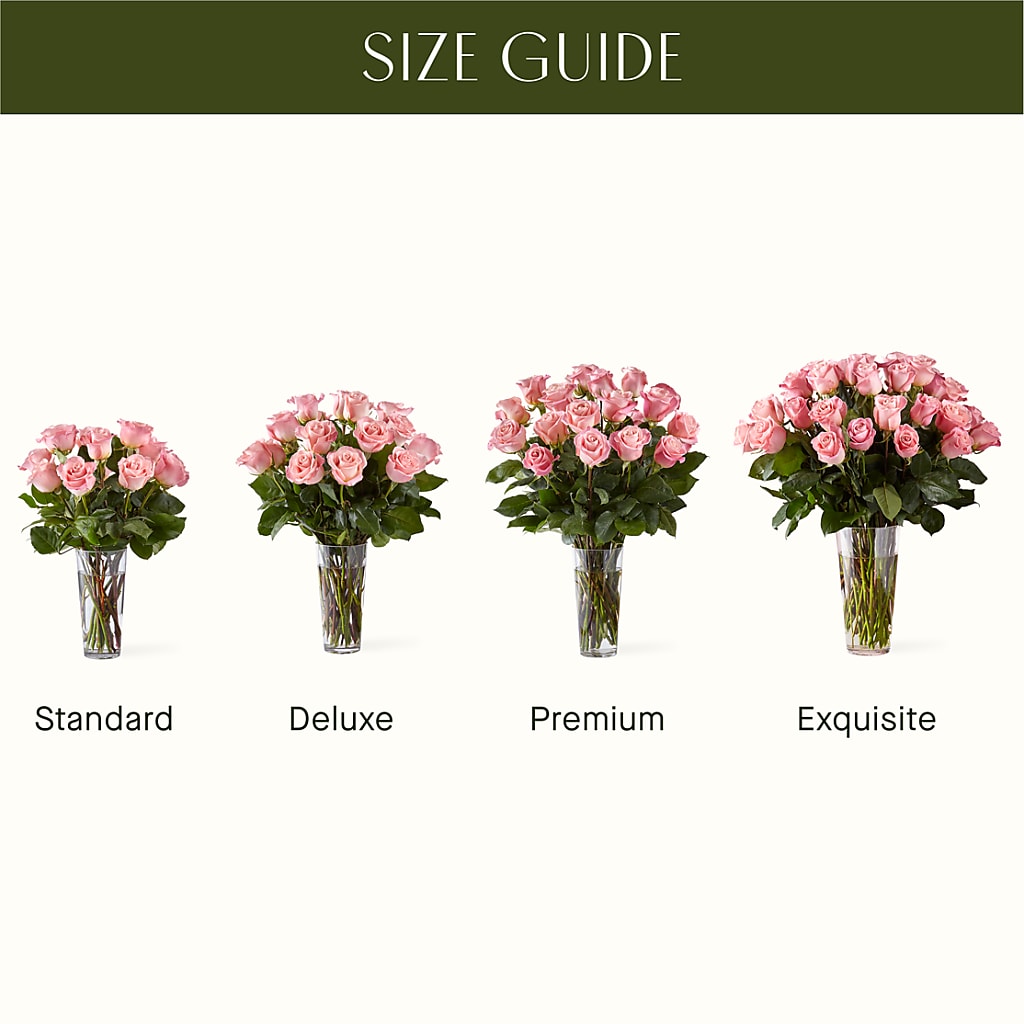 Long Stem Pink Rose Bouquet – NEIL'S FLOWERS AND GREENHOUSES, Kingston ON