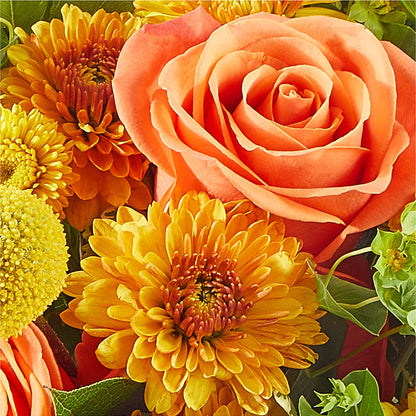 Gourdgeous Pumpkin – NEIL'S FLOWERS, Kingston ON
