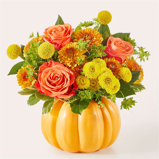 Gourdgeous Pumpkin – NEIL'S FLOWERS, Kingston ON