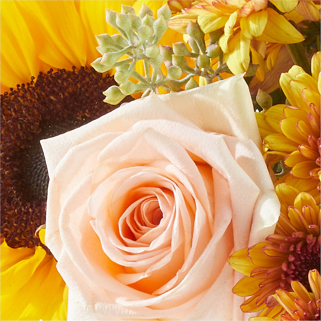 Pumpkin to Talk About Bouquet – NEIL'S FLOWERS AND GREENHOUSES, Kingston ON
