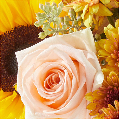Pumpkin to Talk About Bouquet – NEIL'S FLOWERS AND GREENHOUSES, Kingston ON