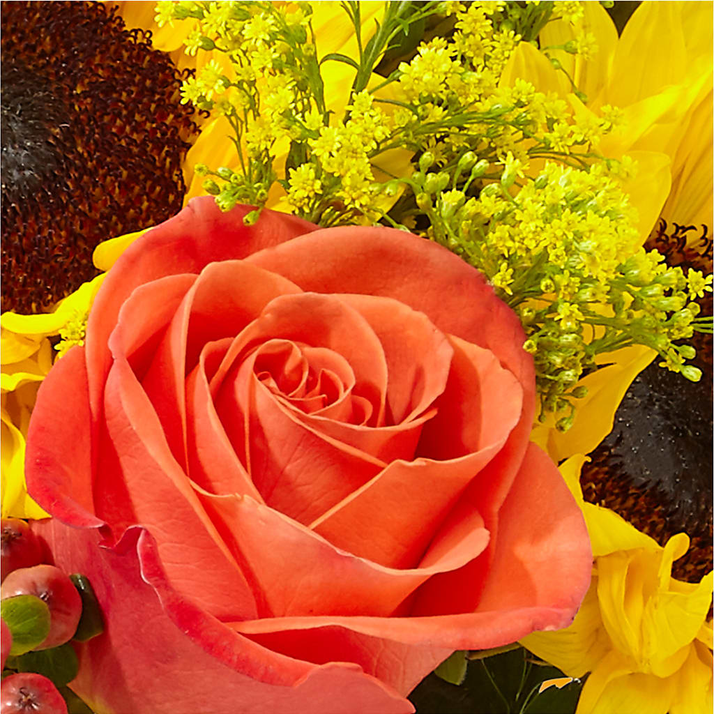 Pick of the Patch Pumpkin Bouquet – NEIL'S FLOWERS AND GREENHOUSES, Kingston ON
