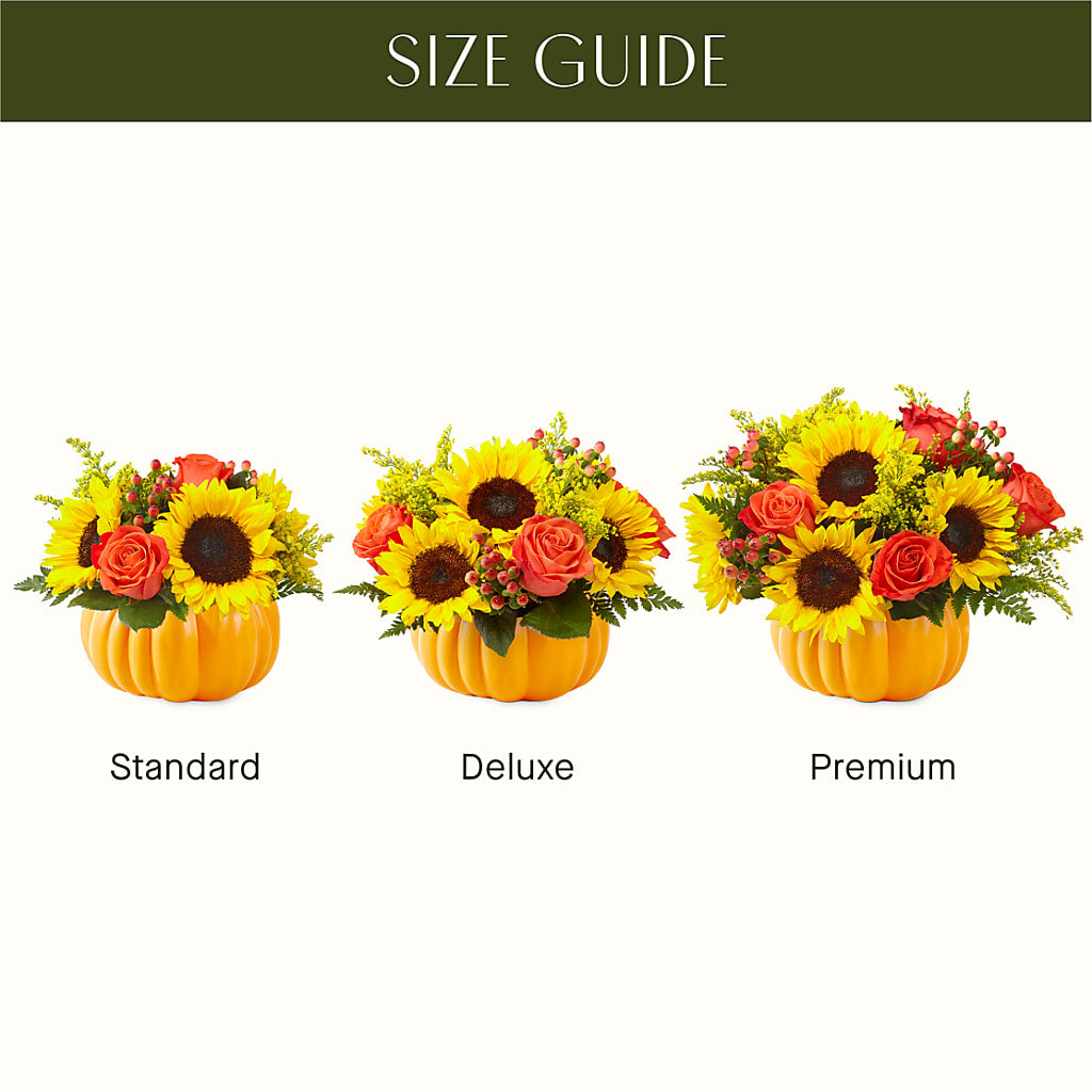 Pick of the Patch Pumpkin Bouquet – NEIL'S FLOWERS AND GREENHOUSES, Kingston ON