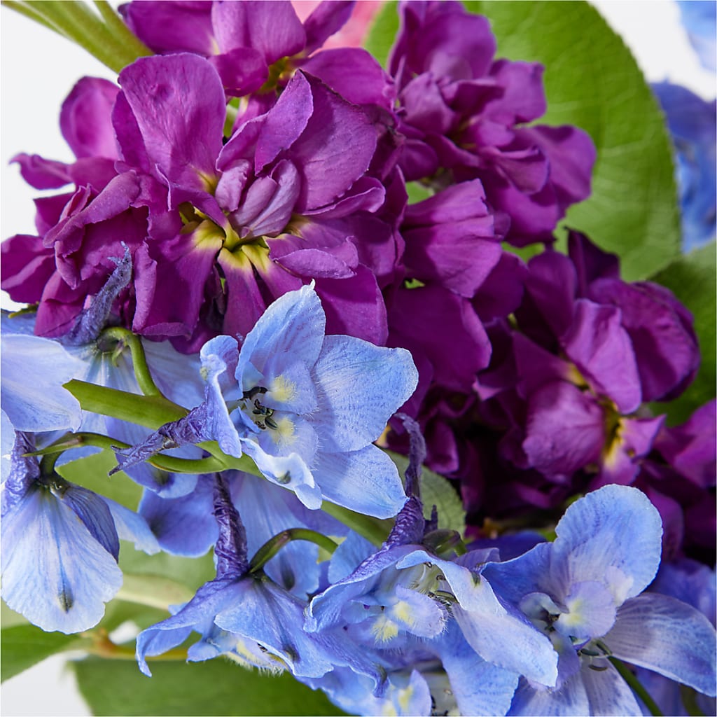 Twilight Glow Bouquet – NEIL'S FLOWERS AND GREENHOUSES, Kingston ON