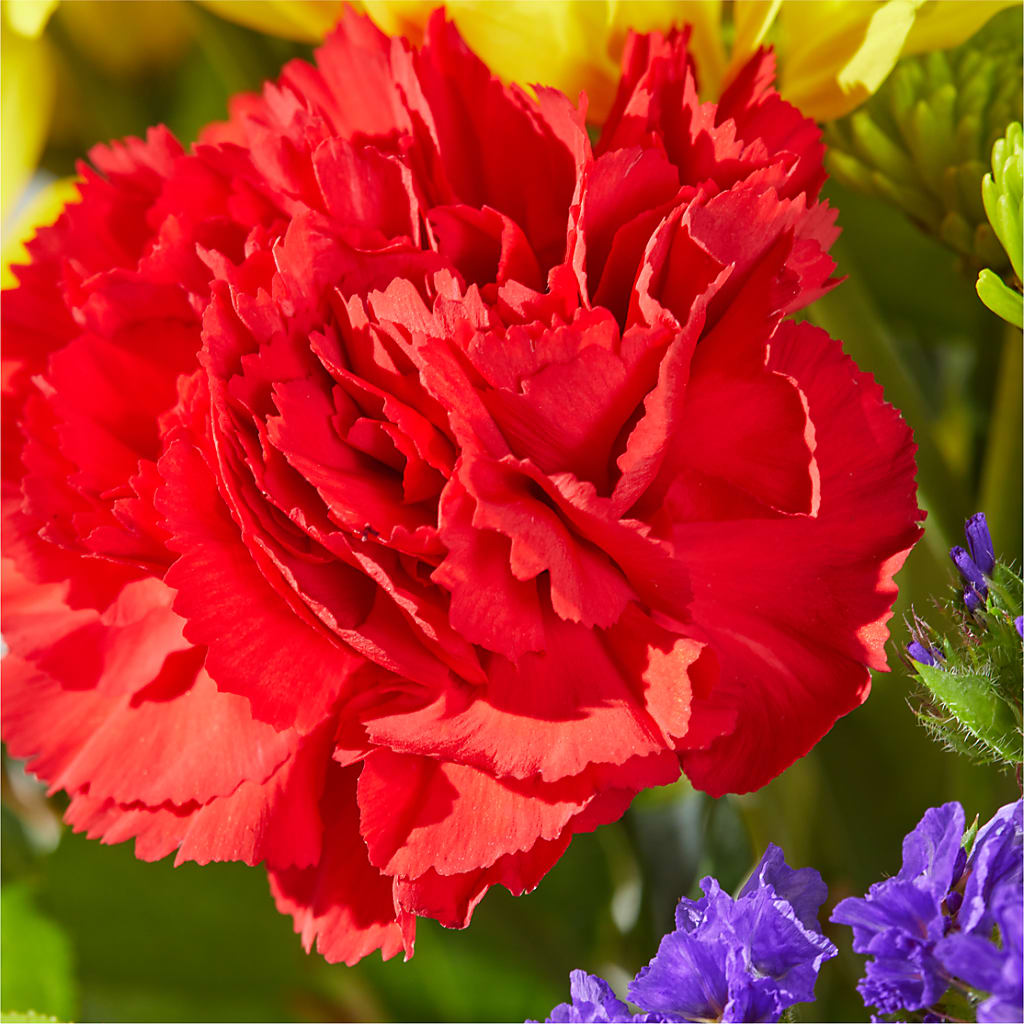 Brighter Days Bouquet – NEIL'S FLOWERS AND GREENHOUSES, Kingston ON