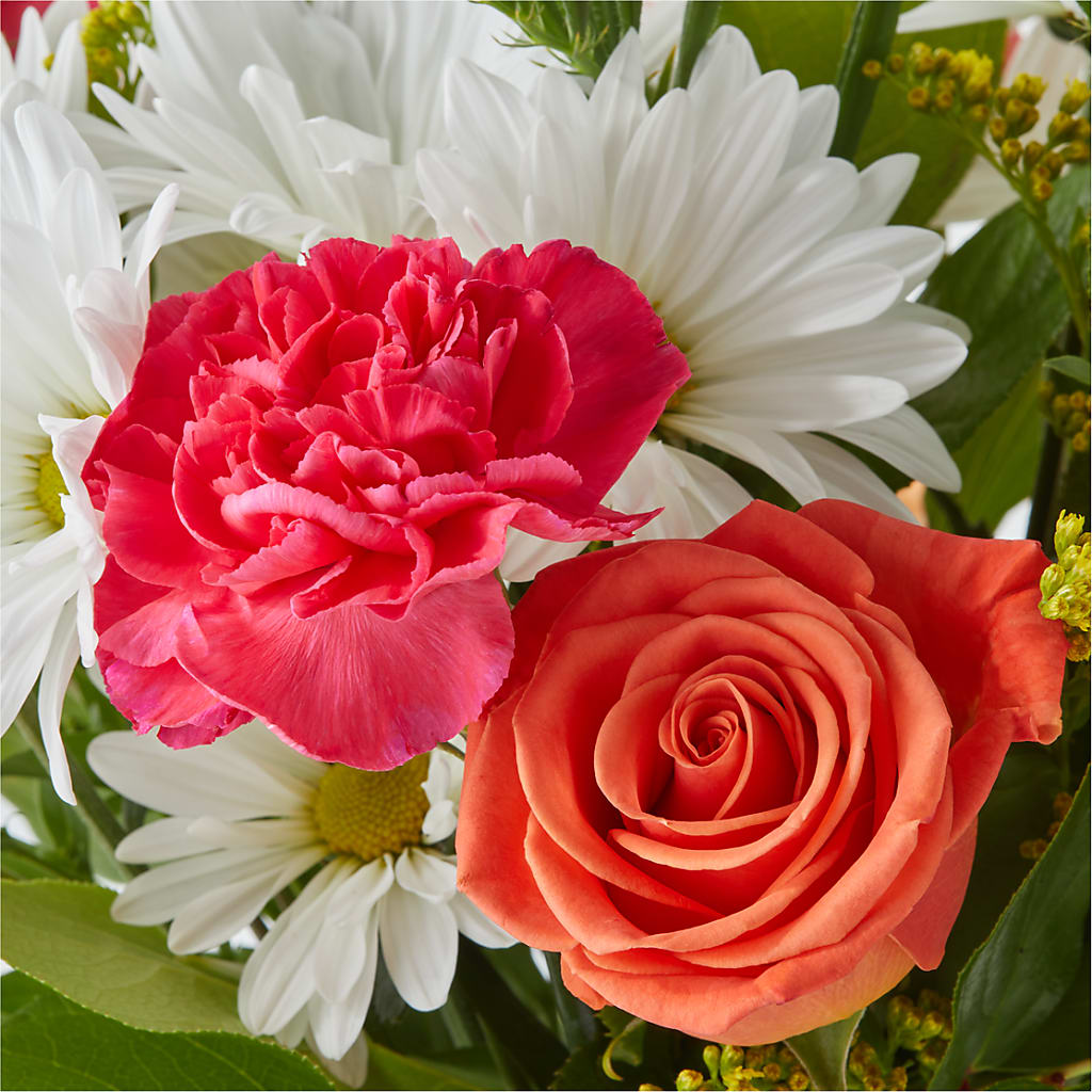 Oopsie Daisy Bouquet – NEIL'S FLOWERS AND GREENHOUSES, Kingston ON