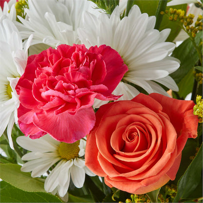Oopsie Daisy Bouquet – NEIL'S FLOWERS AND GREENHOUSES, Kingston ON