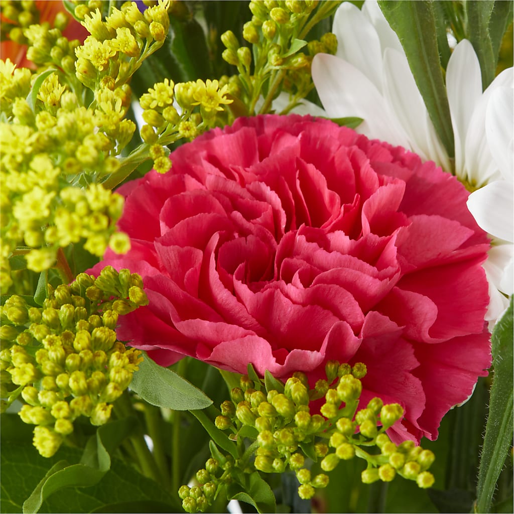 Oopsie Daisy Bouquet – NEIL'S FLOWERS AND GREENHOUSES, Kingston ON
