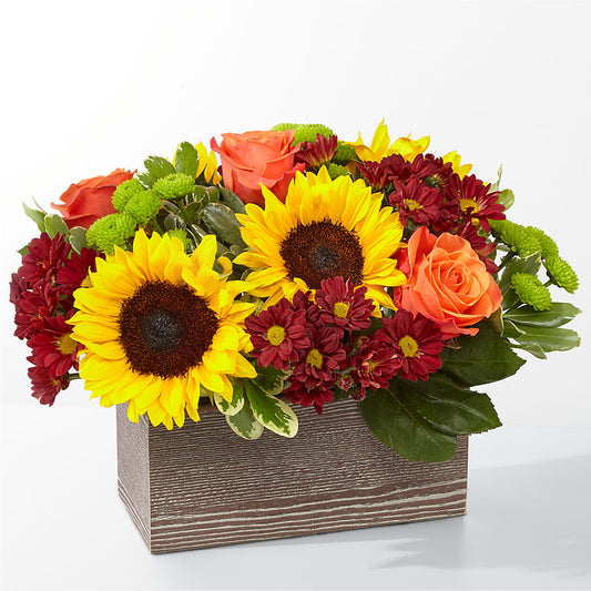 Happy Harvest Garden – NEIL'S FLOWERS AND GREENHOUSES, Kingston ON