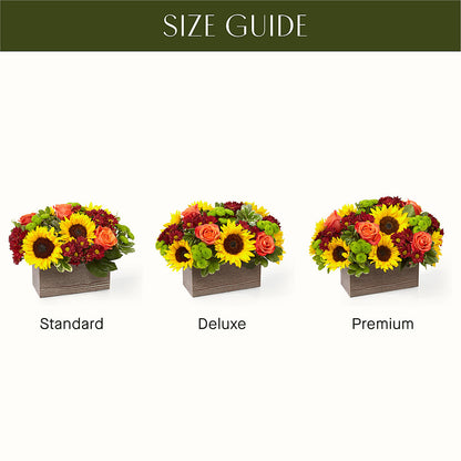Happy Harvest Garden – NEIL'S FLOWERS AND GREENHOUSES, Kingston ON