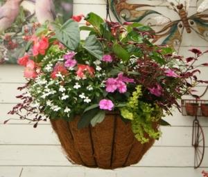 Combination Wire Baskets with Coco Liner – NEIL'S FLOWERS AND GREENHOUSES, Kingston ON