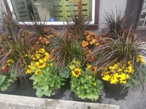 Outdoor Fall Planter – NEIL'S FLOWERS AND GREENHOUSES, Kingston ON