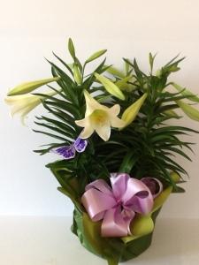 Triple Easter Lily – NEIL'S FLOWERS AND GREENHOUSES, Kingston ON