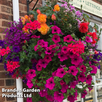 Fiber Hanging Baskets 12" – NEIL'S FLOWERS AND GREENHOUSES, Kingston ON
