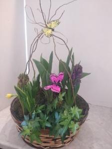 Bulb Garden