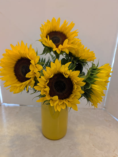 Sunny Day – NEIL'S FLOWERS AND GREENHOUSES, Kingston ON