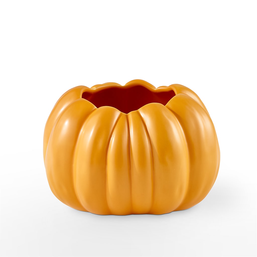 Pick of the Patch Pumpkin Bouquet – NEIL'S FLOWERS AND GREENHOUSES, Kingston ON