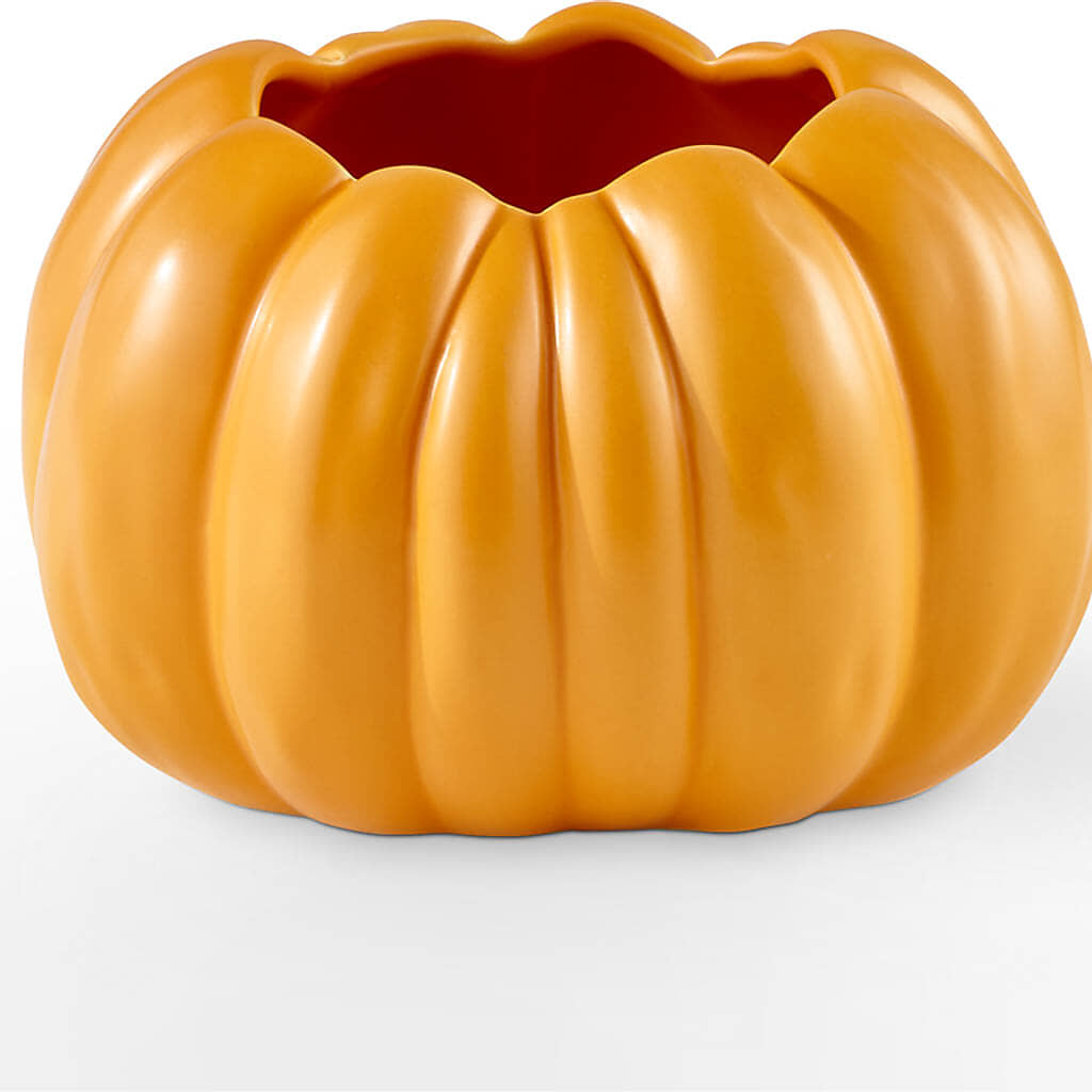 Golden Gourd Pumpkin Bouquet – NEIL'S FLOWERS AND GREENHOUSES, Kingston ON