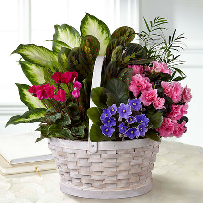 Peaceful Garden Planter – NEIL'S FLOWERS AND GREENHOUSES, Kingston ON