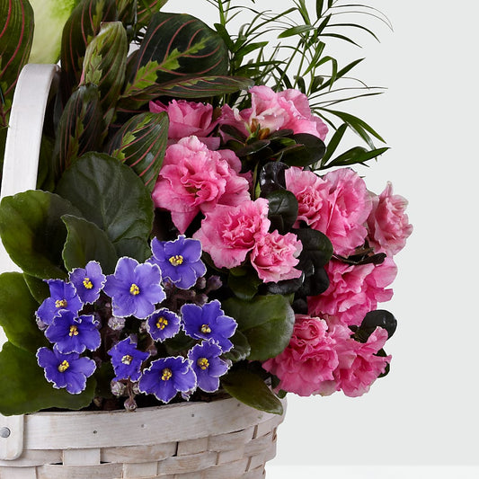 Peaceful Garden Planter – NEIL'S FLOWERS AND GREENHOUSES, Kingston ON